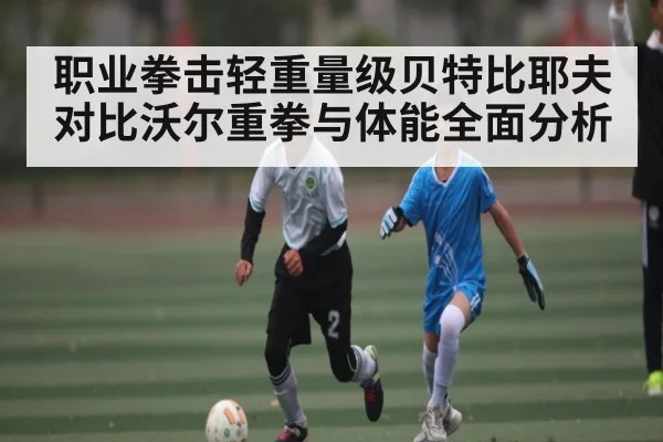 职业拳击轻重量级贝特比耶夫对比沃尔重拳与体能全面分析